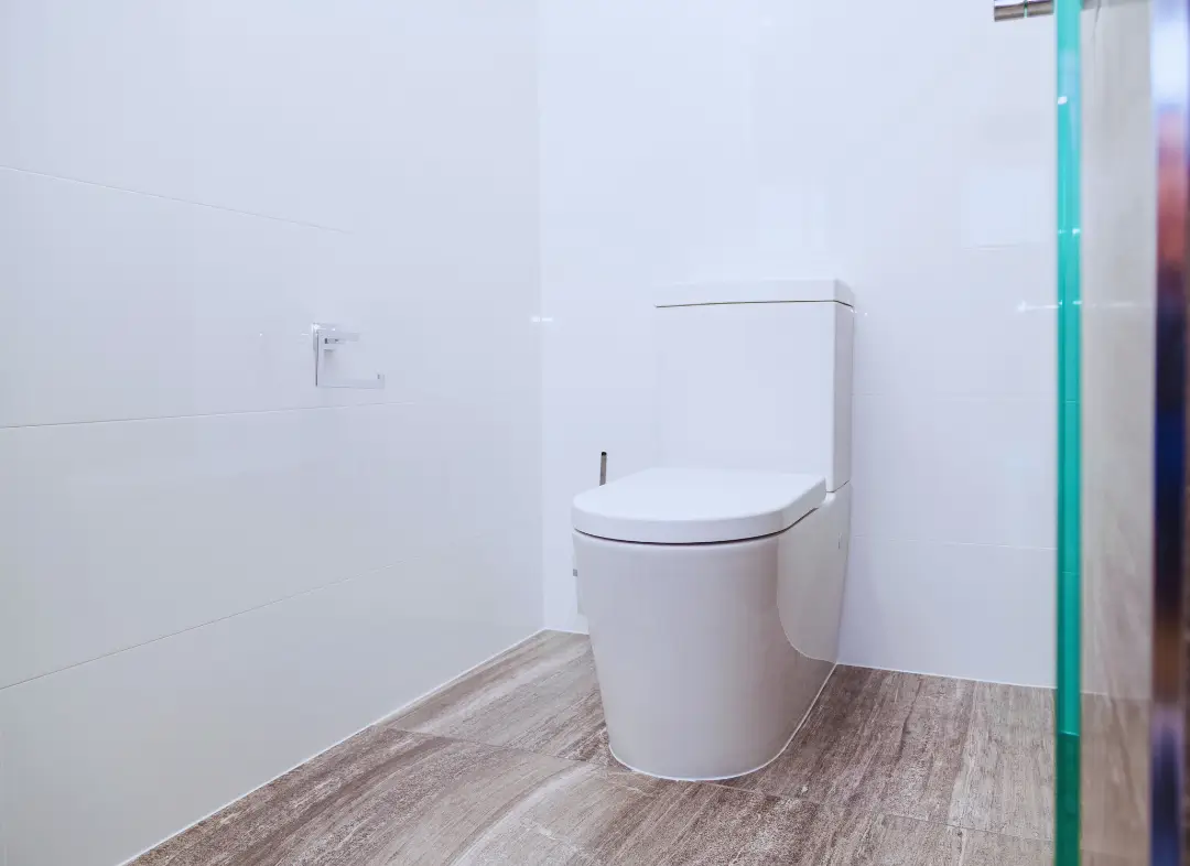 Remplacement de wc Montigny-lès-Metz